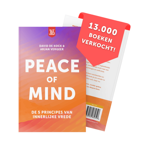 Peace of mind het boek van 365 dagen succesvol