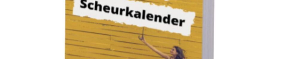 de nlp scheurkalender van Rubin Alaie voorkant